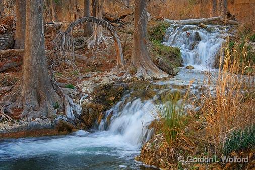 Sylvan Scene_44588-90.jpg - Photographed in Hill Country near Ingram, Texas, USA.